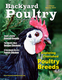 Poultry Breeds