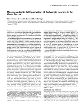 Massive Autaptic Self-Innervation of Gabaergic Neurons in Cat Visual Cortex