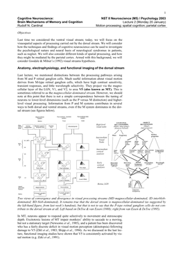 Spatial Cognition; Parietal Cortex