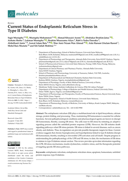 Current Status of Endoplasmic Reticulum Stress in Type II Diabetes