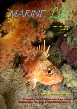 Marine Life Magazine