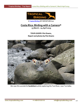 Costa Rica: Birding with a Camera®, March-April 2019