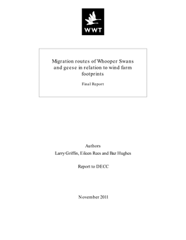 Migration Routes of Whooper Swans and Geese in Relation to Wind Farm Footprints