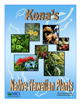 View Kona's Native Hawaiian Plants