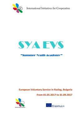 “Summer Youth Academy”