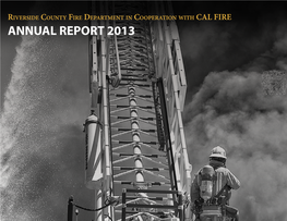 Annual Report 2013