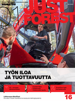 Työn Iloa Ja Tuottavuutta