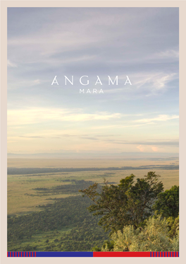 The Angama Foundation's