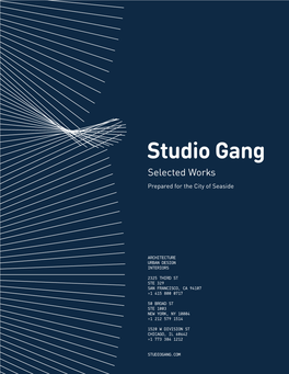 STUDIO GANG PORTFOLIO 19 Chicago River Boathouses