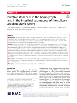 Putative Stem Cells in the Hemolymph and in the Intestinal Submucosa Of