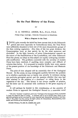 On the Past History of the Ferns