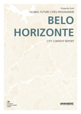 Belo Horizonte City Context Report