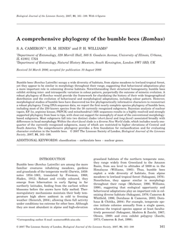 Bombus Phylogeny