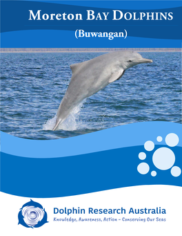 Moreton Bay Dolphins Booklet