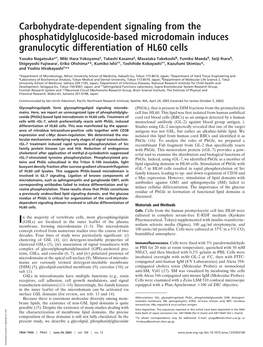 Carbohydrate-Dependent Signaling from the Phosphatidylglucoside-Based Microdomain Induces Granulocytic Differentiation of HL60 Cells
