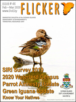 BIMONTHLY BULLETIN of the CAYMAN ISLANDS DEPARTMENT of ENVIRONMENT‘S TERRESTRIAL RESOURCES UNIT