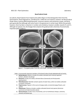 Basal Eudicots Have Triaperturate Pollen (Figure 1) That Distinguishes Them from the Gymnosperms, Basal Angiosperms, and Monocots