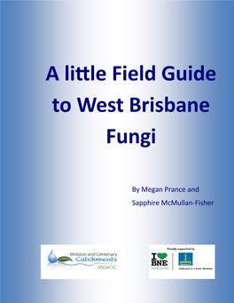 A Little Field Guide to West Brisbane Fungi