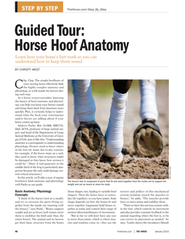 Guided Tour: Horse Hoof Anatomy Learn How Your Horse’S Feet Work So You Can Understand How to Keep Them Sound