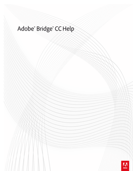 Adobe Bridge Workspace