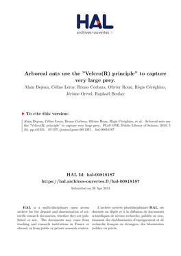 Arboreal Ants Use the ”Velcro(R) Principle” to Capture Very Large Prey