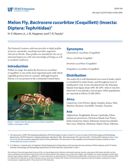 Melon Fly, Bactrocera Cucurbitae (Coquillett) (Insecta: Diptera: Tephritidae)1 H