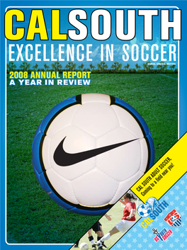 2008 Annual Report a Year in Review