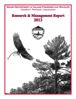 Research & Management Report