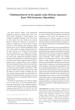 Climbing Behavior in the Aquatic Snake Helicops Hagmanni Roux 1910 (Serpentes: Dipsadidae)