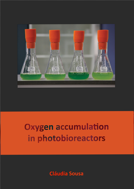 Oxygen Accumulation in Photobioreactors