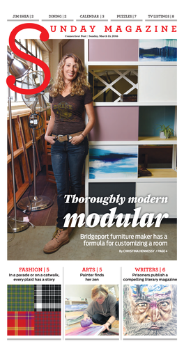 Thoroughly Modern Modular Bridgeport Furniture Maker Has a Formula for Customizing a Room by CHRISTINA HENNESSY / PAGE 4