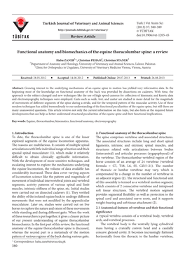 Functional Anatomy and Biomechanics of the Equine Thoracolumbar Spine: a Review