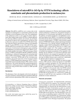 Knockdown of Microrna‑143‑5P by STTM Technology Affects Eumelanin and Pheomelanin Production in Melanocytes