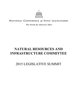 Natural Resources and Infrastructure Committee