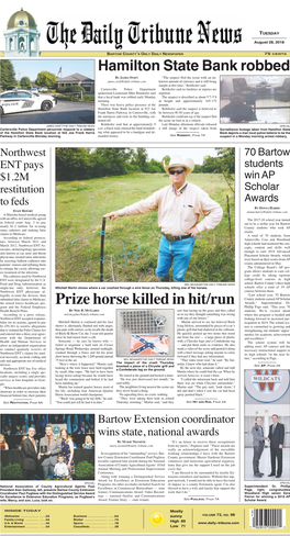 Prize Horse Killed in Hit/Run Awards,” Superintendent Dr