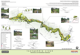 Toongabbie Creek: Creek Maintenance and Rehabilitation Masterplan