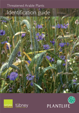 Threatened Arable Plants Identification Guide THREATENED ARABLE PLANTS ID GUIDE THREATENED ARABLE PLANTS ID GUIDE
