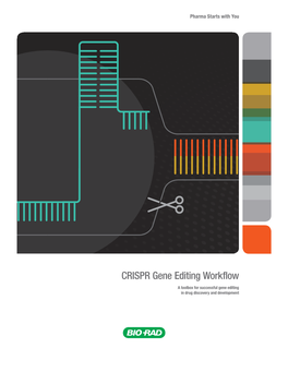 CRISPR Gene Editing Workflow