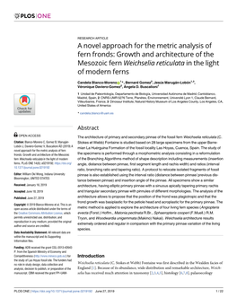 Growth and Architecture of the Mesozoic Fern Weichselia Reticulata in the Light of Modern Ferns