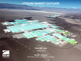 Lithium Market Outlook