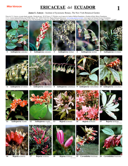 ERICACEAE Del ECUADOR 1 James L