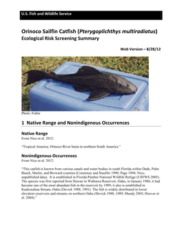 Orinoco Sailfin Catfish (Pterygoplichthys Multiradiatus) Ecological Risk Screening Summary