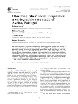 Observing Cities' Social Inequalities
