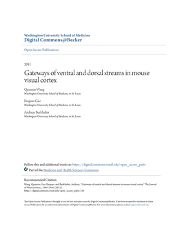 Gateways of Ventral and Dorsal Streams in Mouse Visual Cortex Quanxin Wang Washington University School of Medicine in St