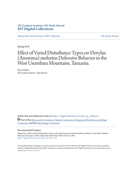 Effect of Varied Disturbance Types on Dorylus (Anomma) Molestus Defensive Behavior in the West Usumbara Mountains, Tanzania