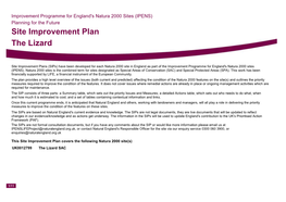 Site Improvement Plan the Lizard