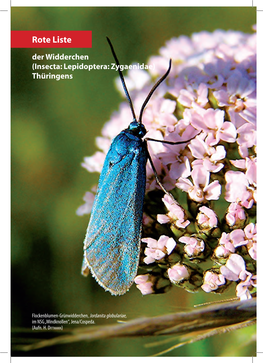 Rote Liste Der Widderchen (Insecta: Lepidoptera: Zygaenidae) Thüringens