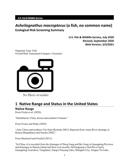 Acheilognathus Macropterus (A Fish, No Common Name) Ecological Risk Screening Summary