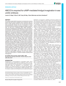 ABCC5 Is Required for Camp-Mediated Hindgut Invagination in Sea Urchin Embryos Lauren E