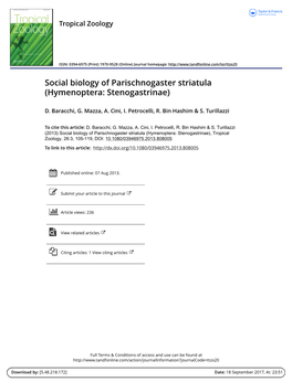 Social Biology of Parischnogaster Striatula (Hymenoptera: Stenogastrinae)